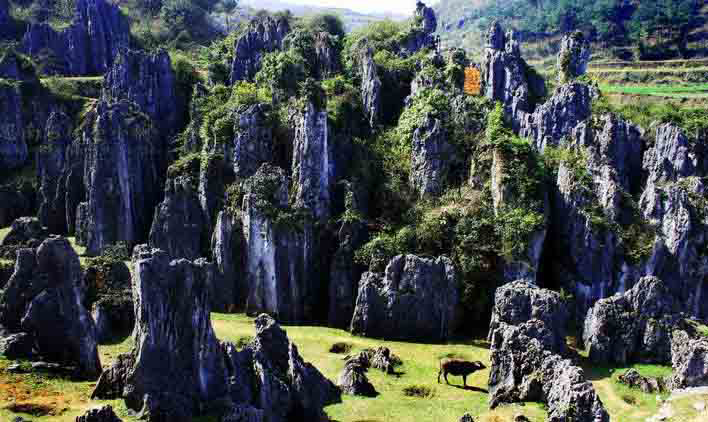 銅仁最美的10大景區(qū)：除了梵凈山之外，還有哪里值得一去？