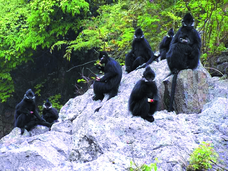 銅仁最美的10大景區(qū)：除了梵凈山之外，還有哪里值得一去？